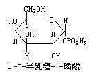 半乳糖-1-磷酸