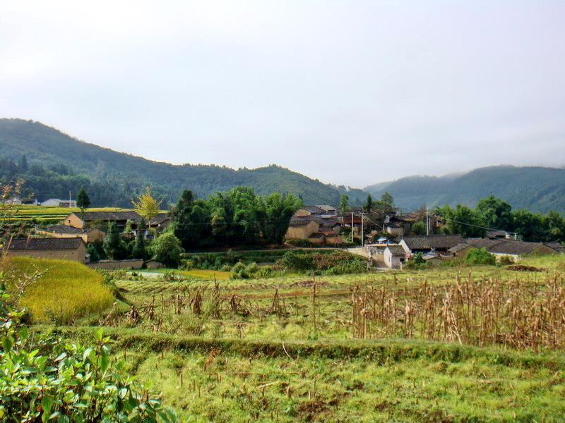 番徐寨村 番徐寨村