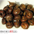烏芋 烏芋