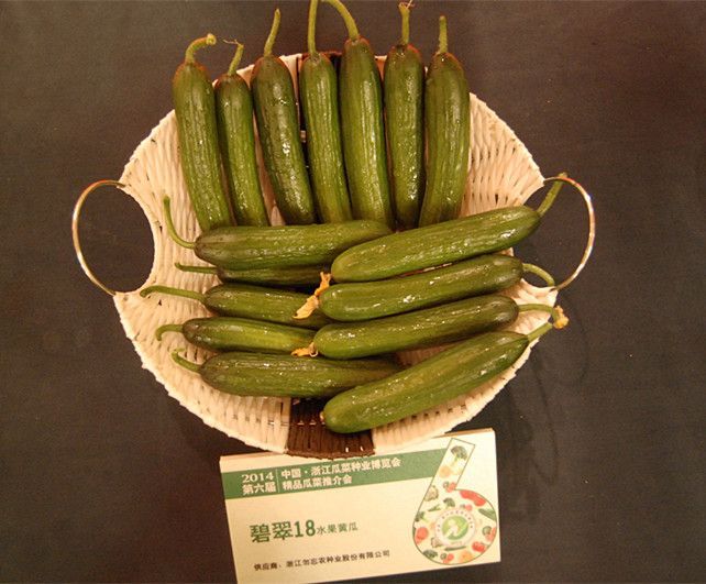 碧翠18 碧翠18