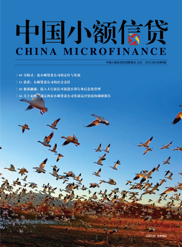 《中國小額信貸》第8期封面