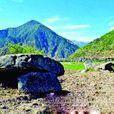 青蓮村(福建石獅市蚶江鎮下轄村) 青蓮村(福建石獅市蚶江鎮下轄村)