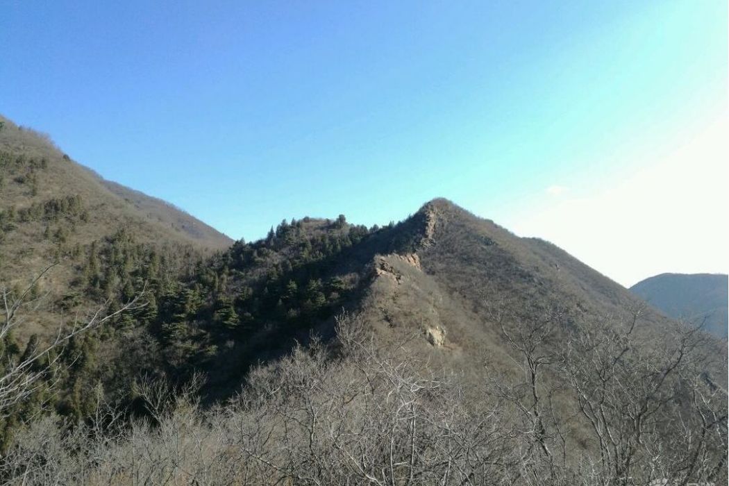 刀條背嶺 刀條背嶺
