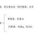 代數量 代數量