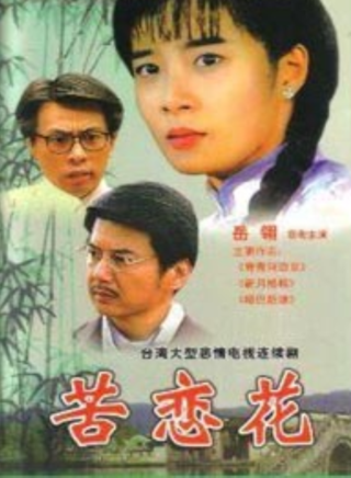 馬如風