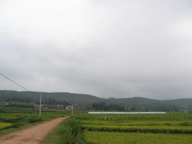 高軍屯村 高軍屯村