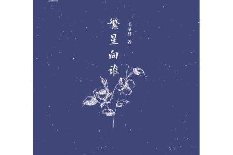繁星向誰 繁星向誰