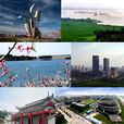 明光(安徽省滁州市下轄市)