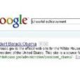 Google炸彈(通俗含義) Google炸彈(通俗含義)