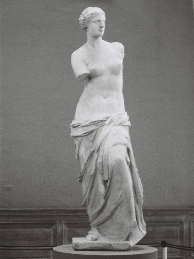 Venus文化 Venus文化