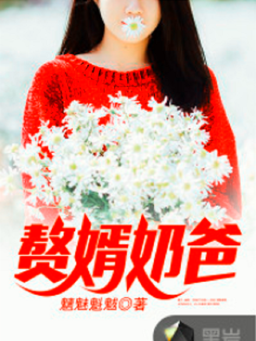 贅婿奶爸 贅婿奶爸