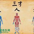 三才(姓名學術語) 三才(姓名學術語)