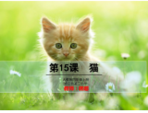 老舍《貓》 老舍《貓》
