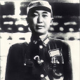 戴安瀾(戴衍功) 戴安瀾(戴衍功)