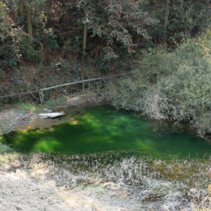 栲栳古道 栲栳古道