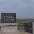 大汶口文化(中國新石器時代文化)
