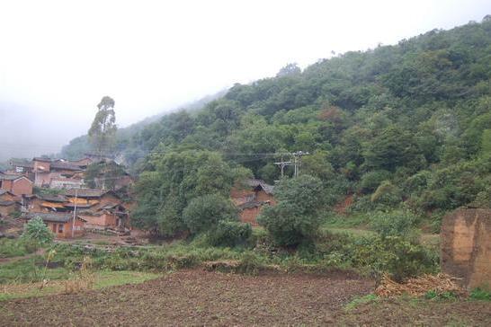革甸龍村 革甸龍村