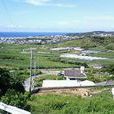 大里村(浙江東陽市歌山鎮轄村) 大里村(浙江東陽市歌山鎮轄村)