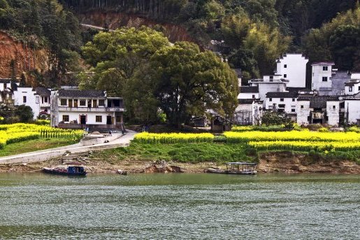 漳村灣村 漳村灣村