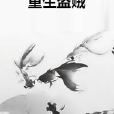 重生盜賊 重生盜賊