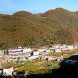 龍坪鎮(湖北省襄陽市保康縣龍坪鎮)