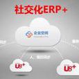 社交化企業 社交化企業