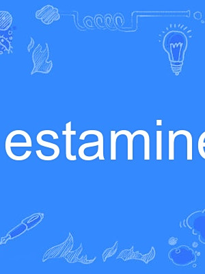 estaminet estaminet