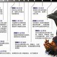 貝利魔咒 貝利魔咒