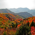 紅葉嶺