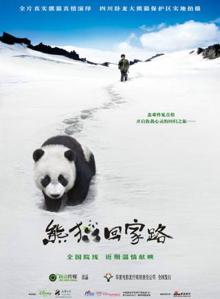 張琪(中國內地男演員) 張琪(中國內地男演員)