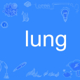 lung lung