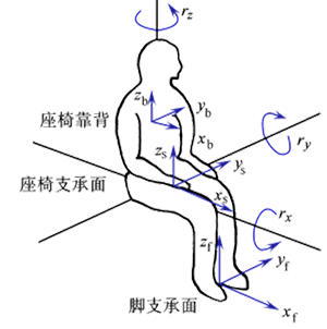 圖1  人體坐姿受振模型