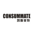 consummate consummate