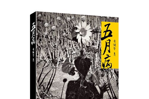 五月病(2018年上海文藝出版社出版的圖書) 五月病(2018年上海文藝出版社出版的圖書)