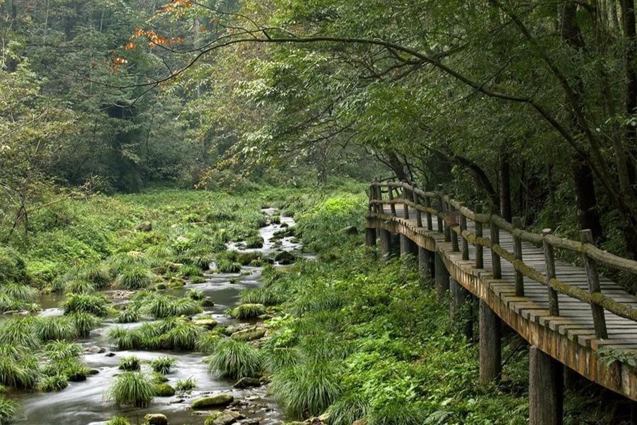 娑羅山森林公園(娑羅山景區) 娑羅山森林公園(娑羅山景區)