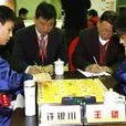 王斌(象棋特級大師) 王斌(象棋特級大師)