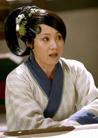 孔雀東南飛(中國2009年王文杰執導電視劇)