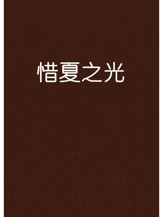 惜夏之光