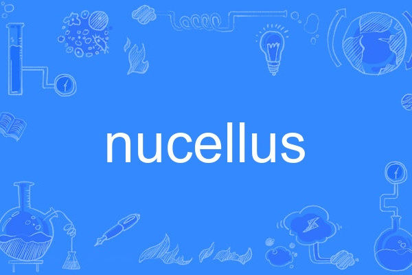 nucellus nucellus