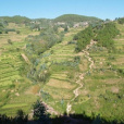 念六村 念六村