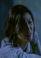高度戒備(1997年林嶺東執導電影)