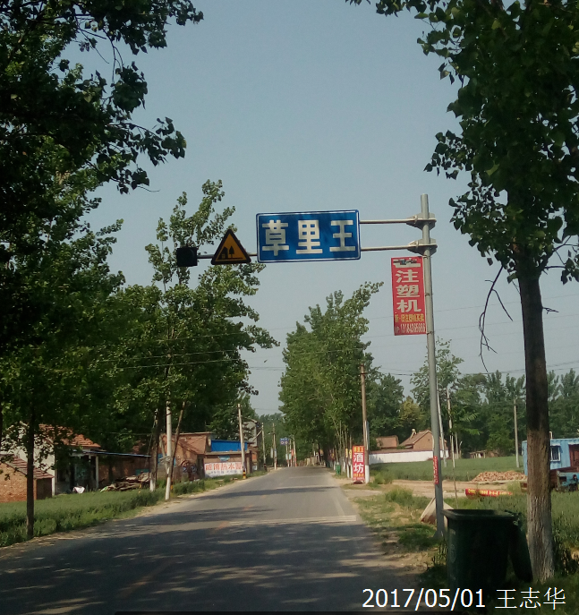 草里王 草里王