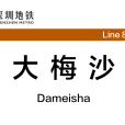 大梅沙站 大梅沙站