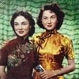 香車美人(1952年趙樹燊執導電影) 香車美人(1952年趙樹燊執導電影)