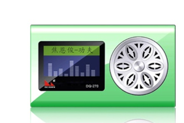 道勤DQ-270(2GB) 道勤DQ-270(2GB)