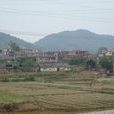 明新村
