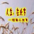 人生在北方 人生在北方