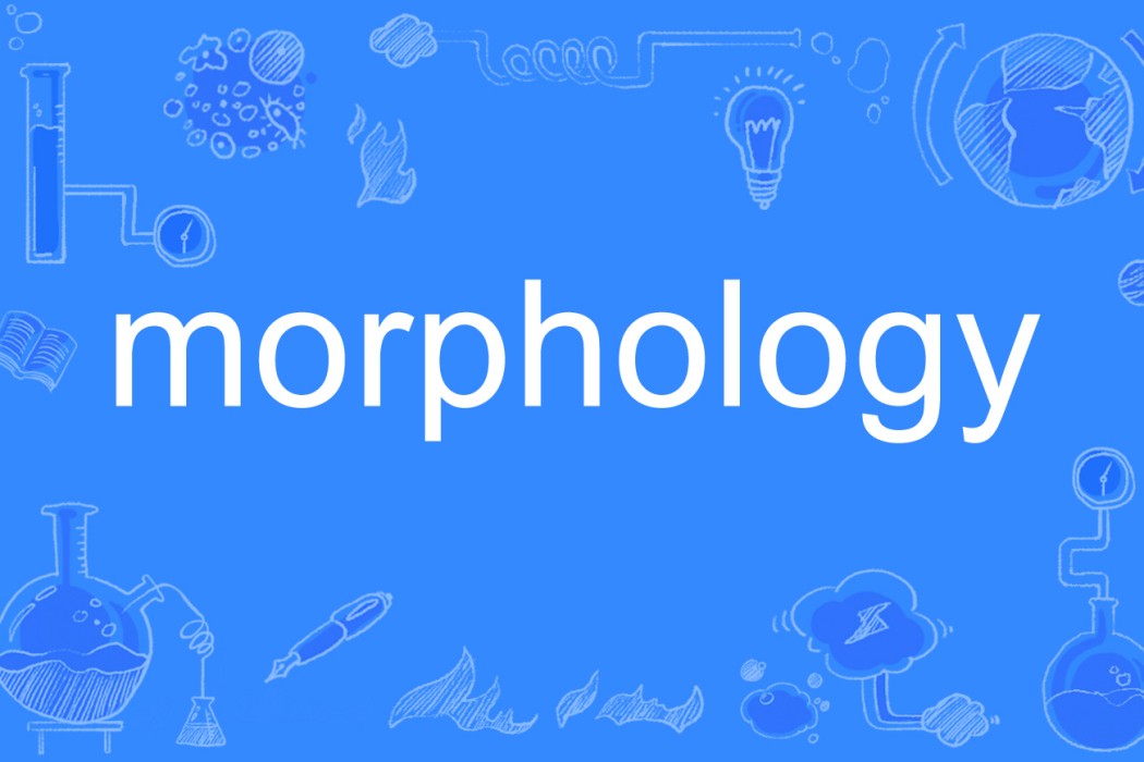 morphology morphology