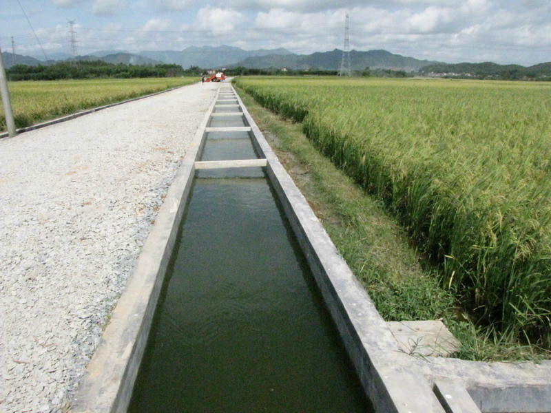 灌溉管理