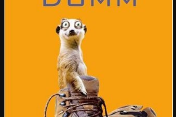 Hummeldumm Hummeldumm